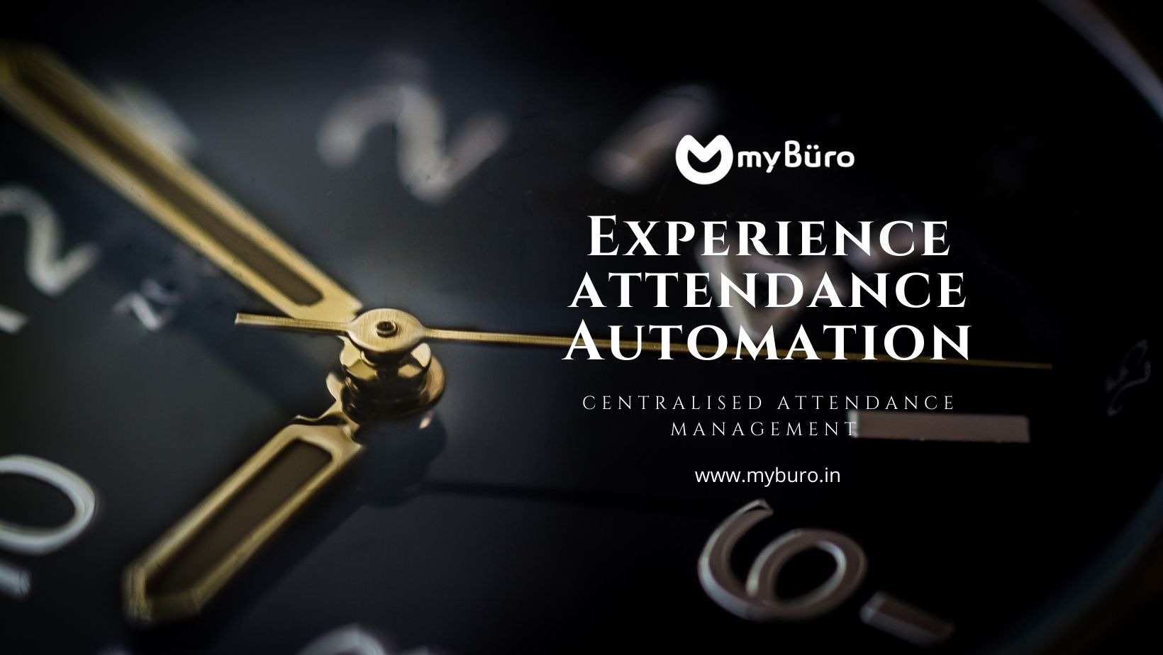 Employee Attendance Reports .